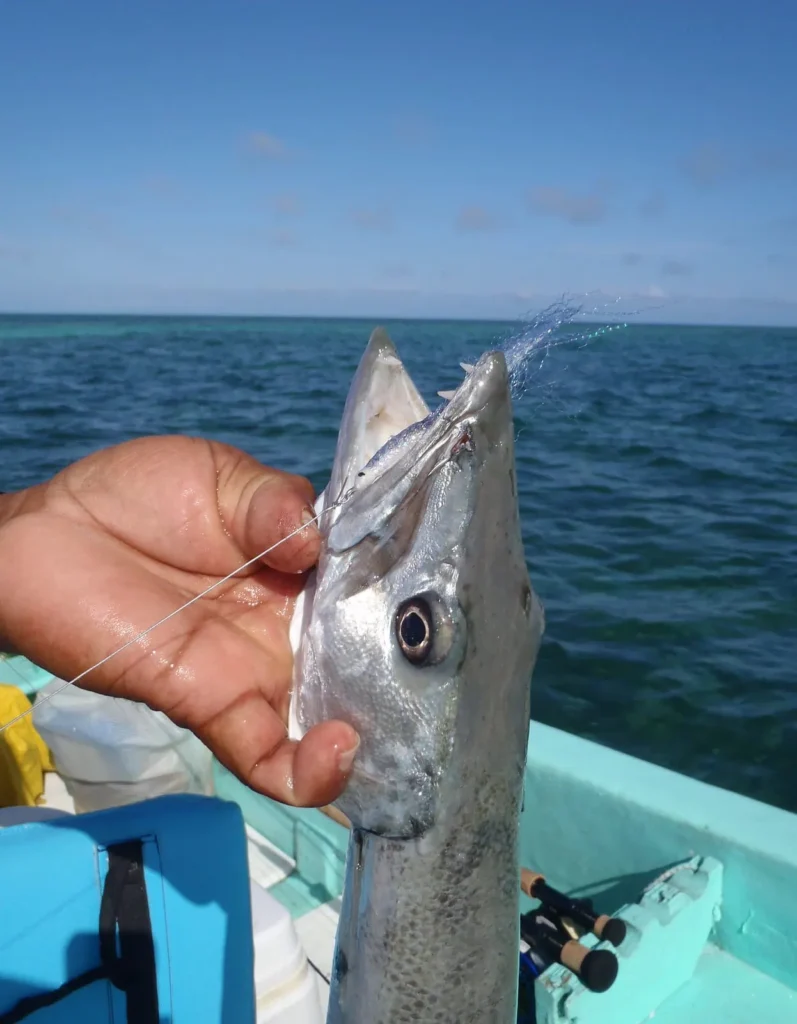 belize fishing charters,belize fishing,belize fishing tours