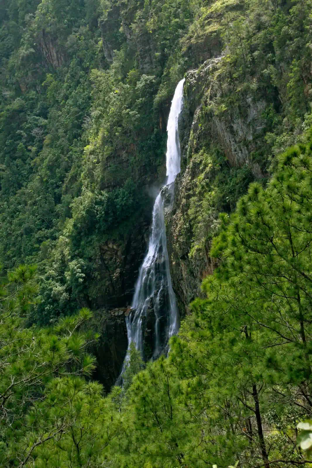 nour villas mountain pine ridge thousand 1000 foot waterfalls