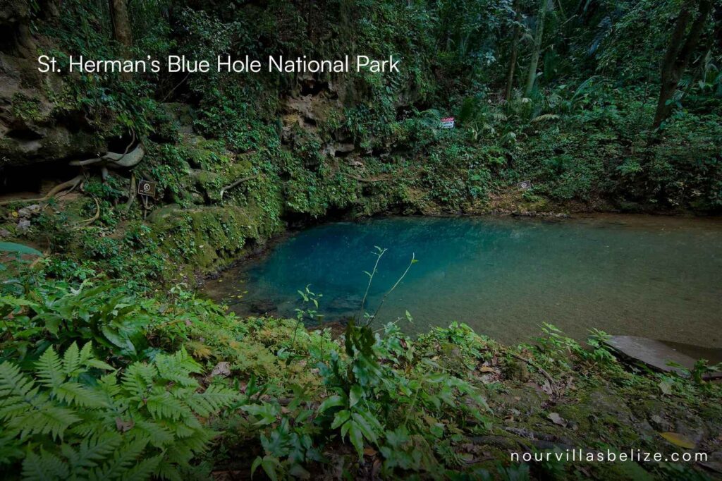 st hermans blue hole belmopan belize nour villas sm